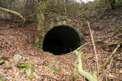 Lasgarn Quarry Northern tunnel approach, March 2009
